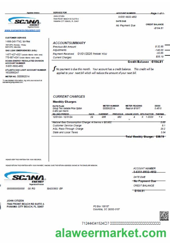 USA SCANA Energy utility bill template in Word and PDF formats